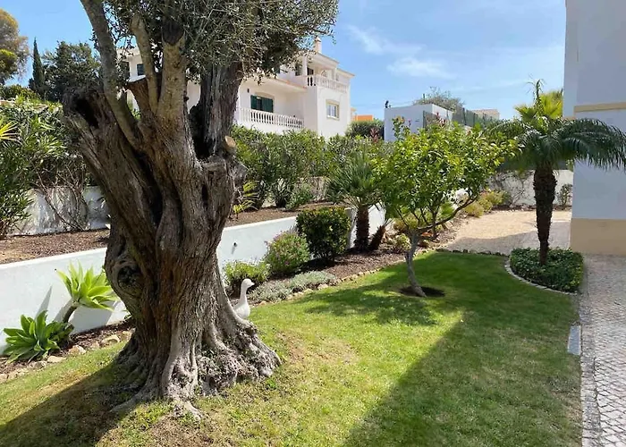 Villa Da Mandeliu Exclusive 5 Star Private Heated Pool *