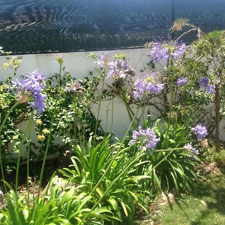 Da 3 Bedroom Exclusive 5 Star Private Heated Pool Βίλα Luz